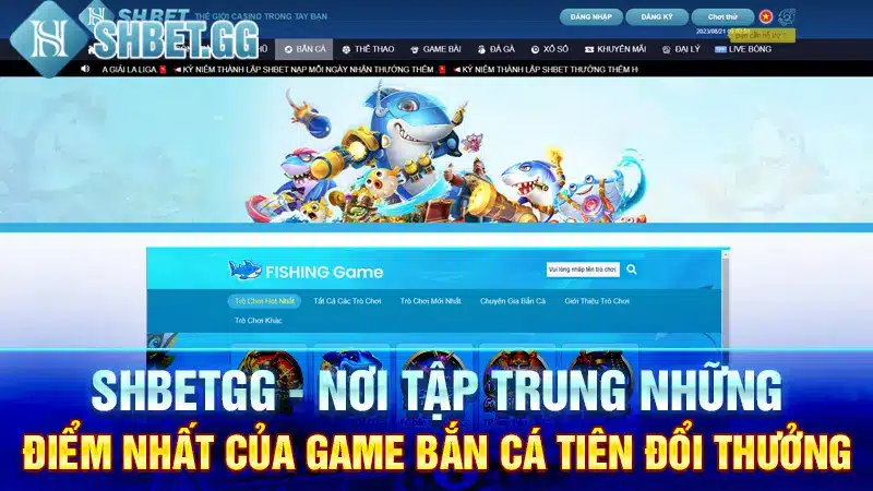 Shbetgg - Nơi tập trung những điểm nhất của game bắn cá tiên đổi thưởng