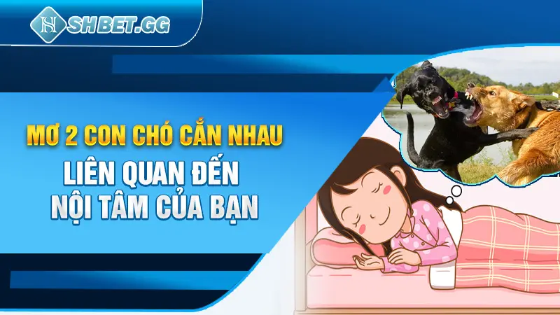 Mơ 2 con chó cắn nhau liên quan đến nội tâm của bạn 