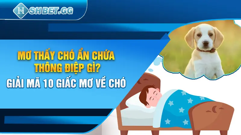 Giải Mã 10 Thông Điệp Ẩn Sau Mỗi Giấc Mơ Thấy Chó