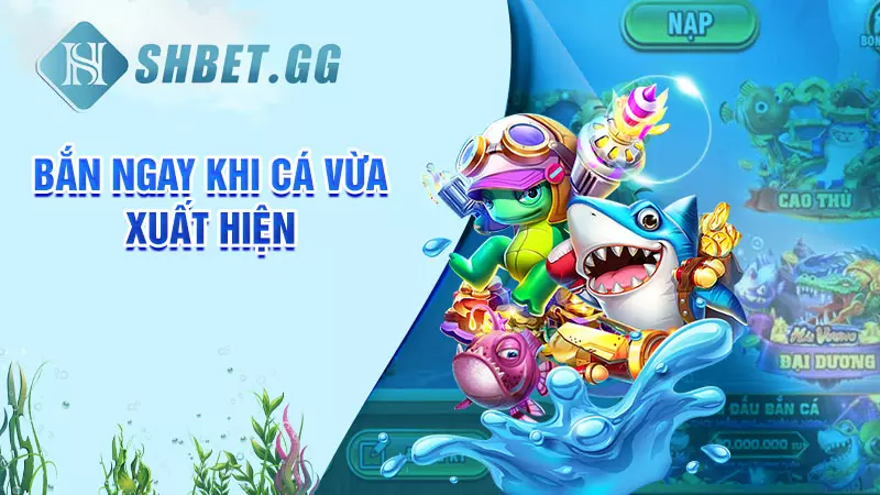 Bắn ngay khi cá vừa xuất hiện