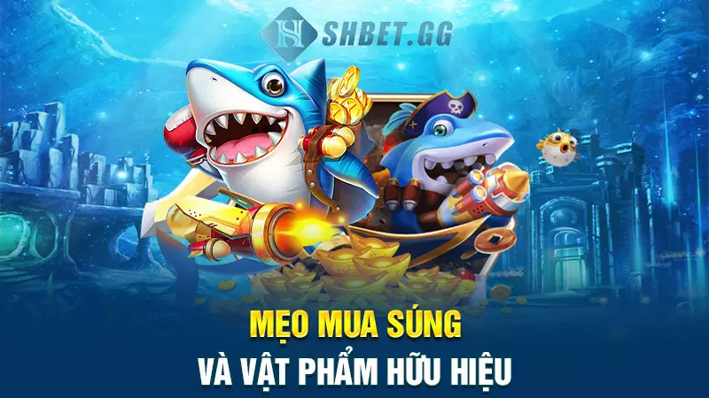 Mẹo mua súng và vật phẩm hữu hiệu