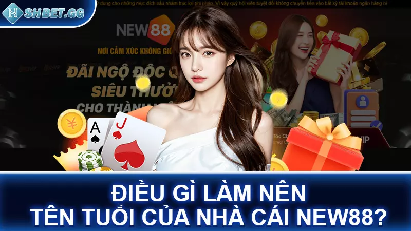 Điều gì làm nên tên tuổi của nhà cái NEW88?