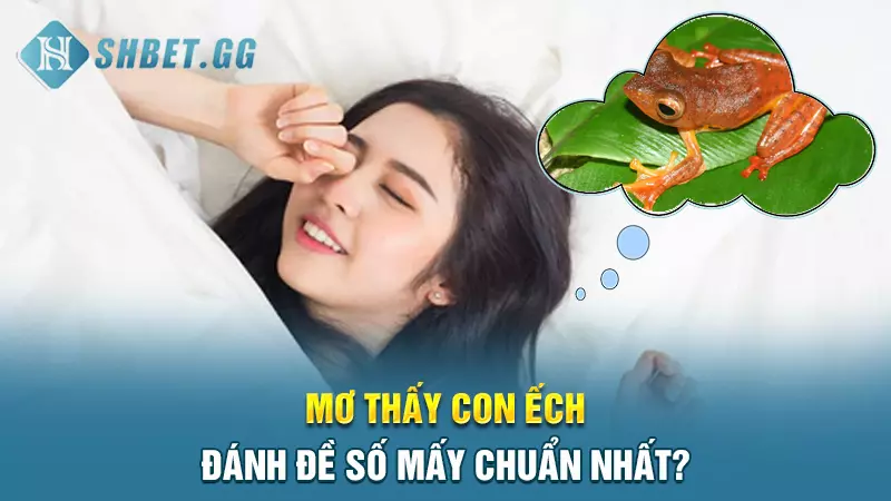 Mơ thấy con ếch đánh đề số mấy chuẩn nhất?