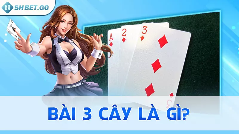 Bài 3 cây là gì?