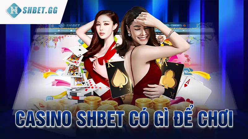 Casino Shbet có gì để chơi