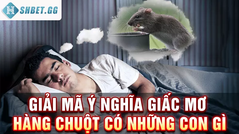 Giải mã ý nghĩa giấc mơ hàng chuột có những con gì