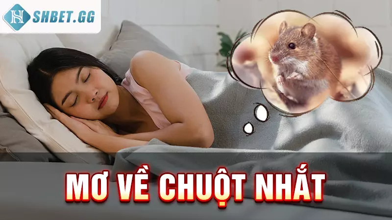 Mơ về chuột nhắt