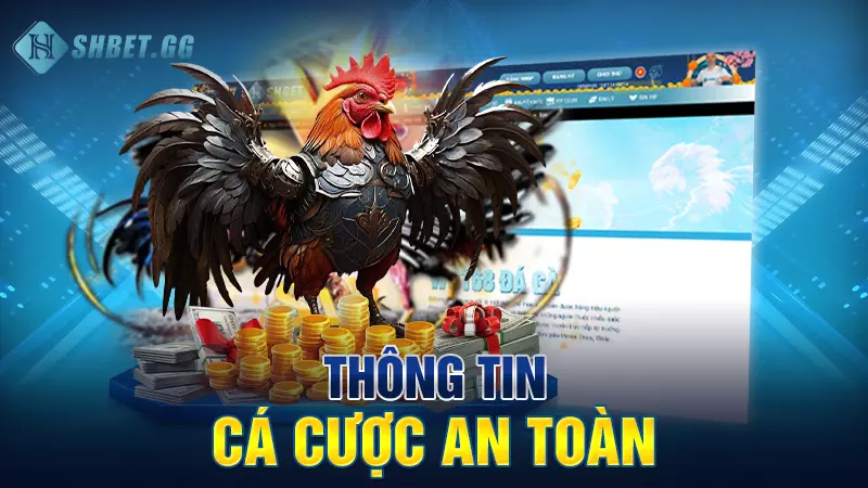 Thông tin cá cược an toàn