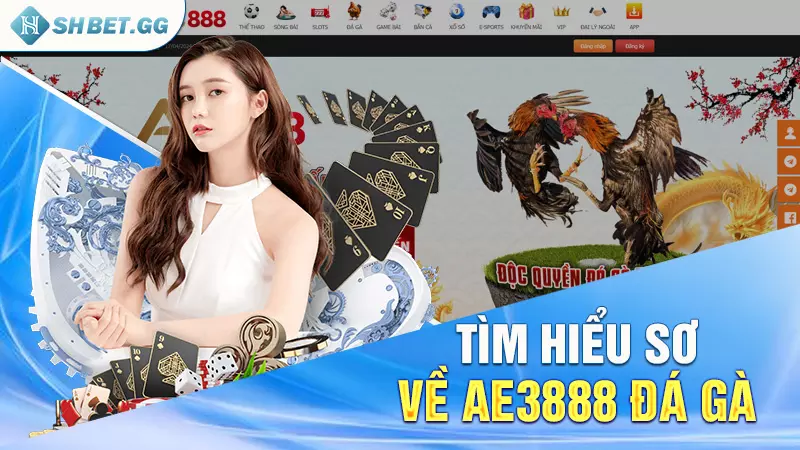 Tìm hiểu sơ về ae3888 đá gà