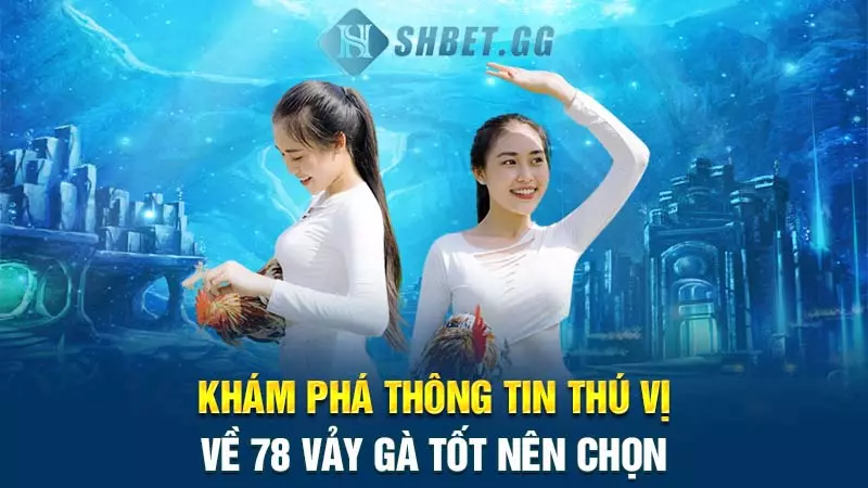 Khám phá thông tin thú vị về 78 vảy gà tốt nên chọn